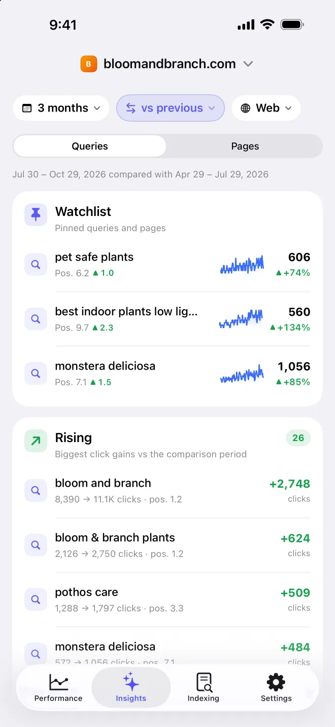 SearchPulse Insights with watchlist and rising queries